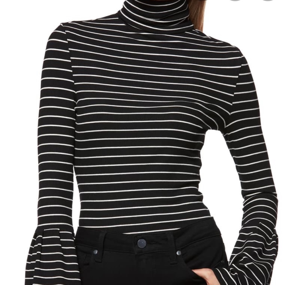 Paige Turtle Neck